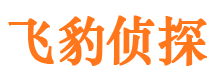 延津市私家侦探